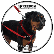 Freedom No Pull Harness Available in XSM, SM, MD, LG, XLG & 2XLG (31 Colors/Patterns)