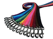 Traditional Nylon Webbing Leads/Leashes