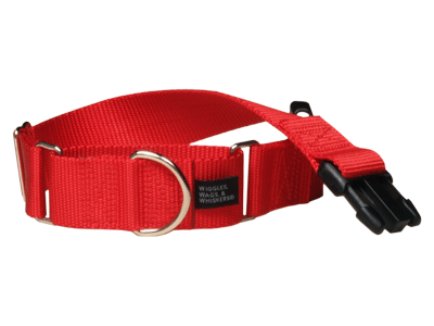 Combo (Martingale with a Clip) Webbing Collars (Matches Freedom Harness)