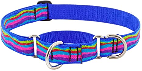 Martingale Double Loop Style Collars (Solid Collars and Patterns)