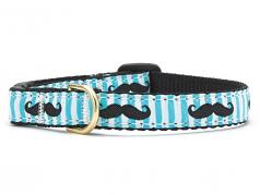 Up Country Cat Collar: Mustache