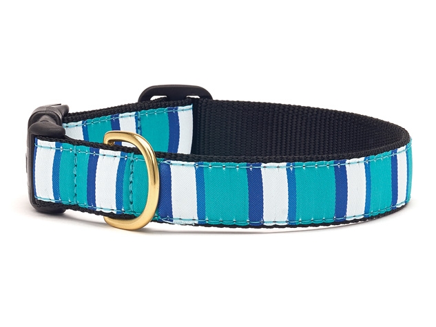 Dog Collars: 1