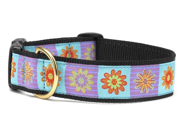 Dog Collars: 5/8