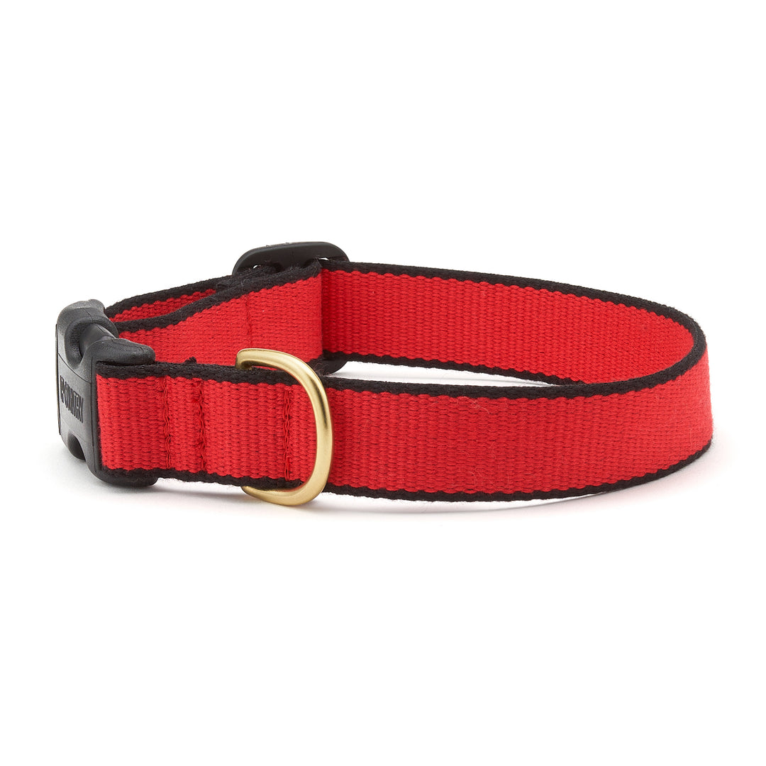 Dog Collars: 1