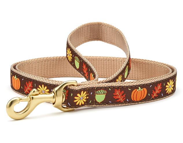 Louis Vuitton Dog Collar and Leash