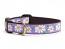 Dog Collars: 5/8" or 1" Wide Daisies Clip Collar