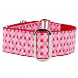 Dog Collars:  Day in the Park 1.5" Wide