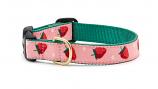 Dog Collars: 5/8" or 1" Wide Strawberry Fields Clip Collar