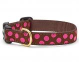 Dog Collars: 5/8" or 1" Wide Brown Pink Dot Clip Collar