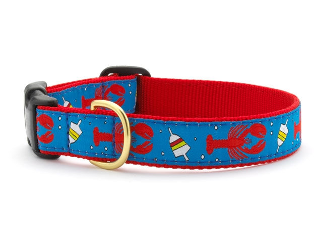 Dog Collars: 5/8" or 1" Wide Lobster and Buoy Clip Collar