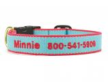 Dog Collars: 5/8" or 1" Wide Aqua and Coral Bamboo Embroidered Collar