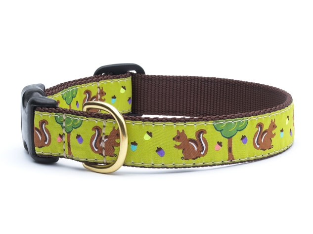 Dog Collars: 5/8" or 1" Wide Nuts Clip Collar