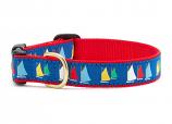Dog Collars: 5/8" or 1" Wide Rainbow Fleet Clip Collar