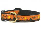 Dog Collars: 5/8" or 1" Wide Holiday, Halloween Spooky Town Clip Collar