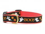 Dog Collars: 5/8" or 1" Wide Holiday, Halloween Boo! Clip Collar