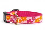 Dog Collars: 5/8" or 1" Wide Flower Power Clip Collar